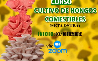 CURSO CULTIVO DE HONGOS COMESTIBLES